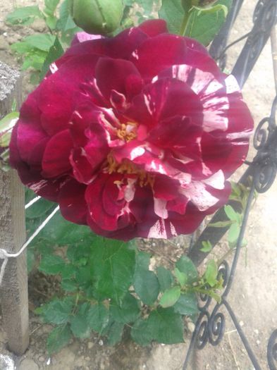 2013-05-30 14.07.05