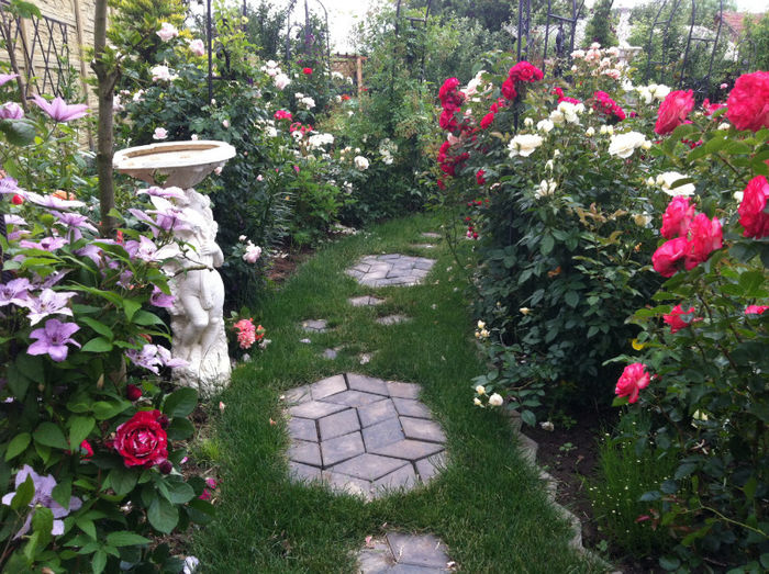 mai 2013 - GRADINA SI FLORI 2013