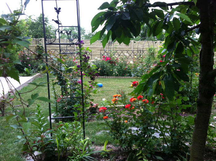 mai 2013 - GRADINA SI FLORI 2013