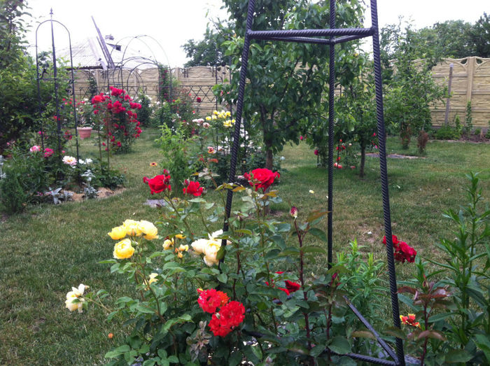 mai 2013 - GRADINA SI FLORI 2013