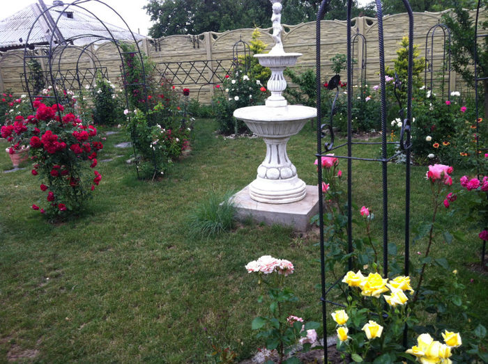 mai 2013 - GRADINA SI FLORI 2013