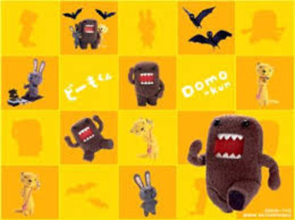 image - Domo