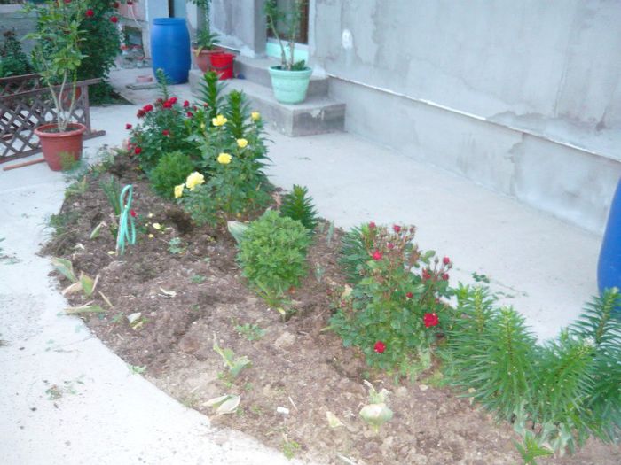 Picture 2842 - Mirajul verii