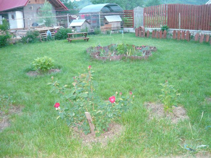 Picture 2843 - Mirajul verii