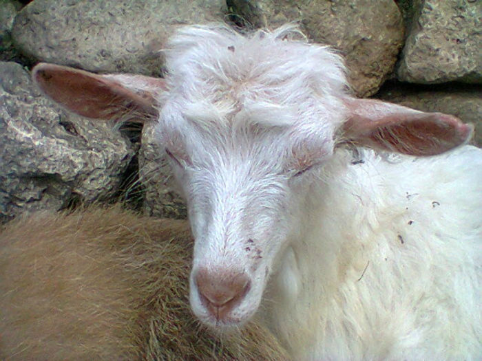 din pacate nu mai suntem.