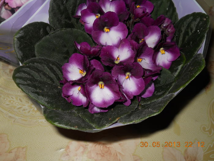 024 - ACHIZITII 2013