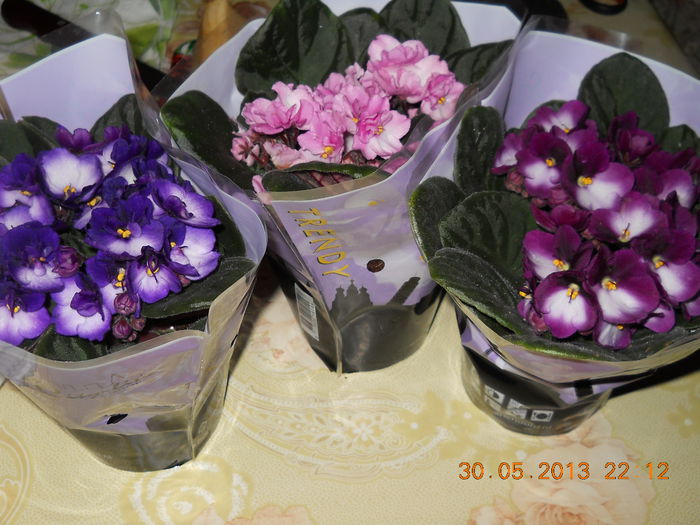sunt tare, tare frumoase - ACHIZITII 2013
