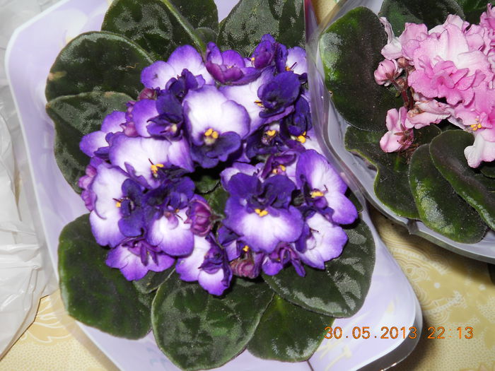 027 - ACHIZITII 2013