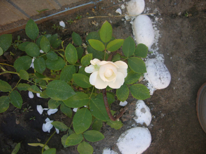 Winchester Cathedral