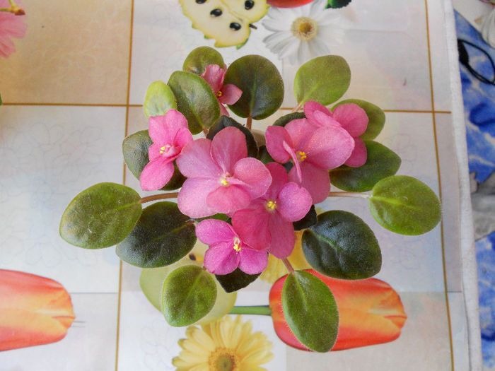 DSCN4293 - x 2013