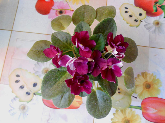 DSCN4307 - x 2013