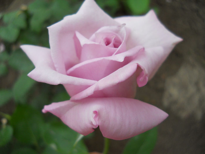 DSCN3406
