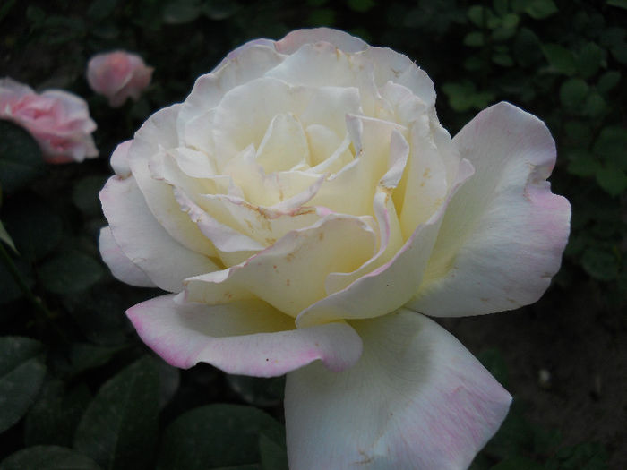 DSCN3402