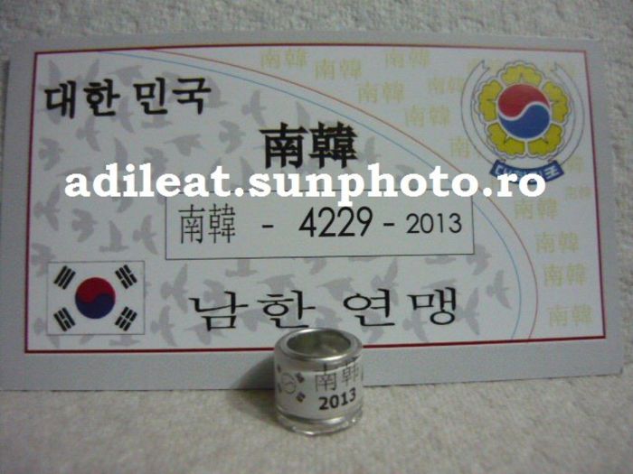 COREA-2013 - COREA-ring collection