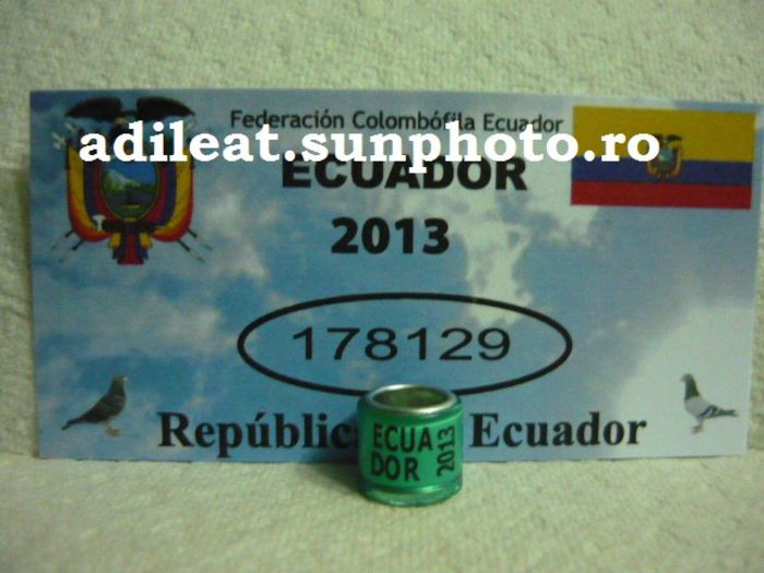 ECUADOR-2013 - ECUADOR-ring collection