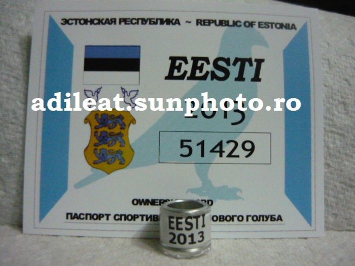 ESTONIA-2013 - ESTONIA-ring collection