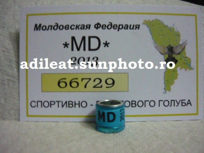 MOLDOVA-2013-DERBY - MOLDOVA-ring collection