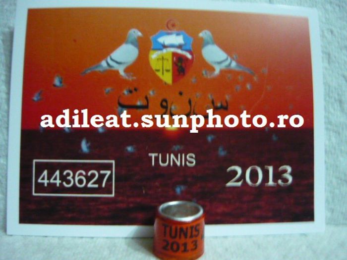TUNISIA-2013 - TUNISIA-ring collection