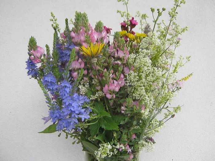 IMG_4831 - Flori de camp in mai