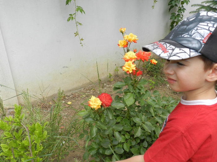 DSCN5965