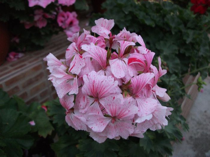 047
