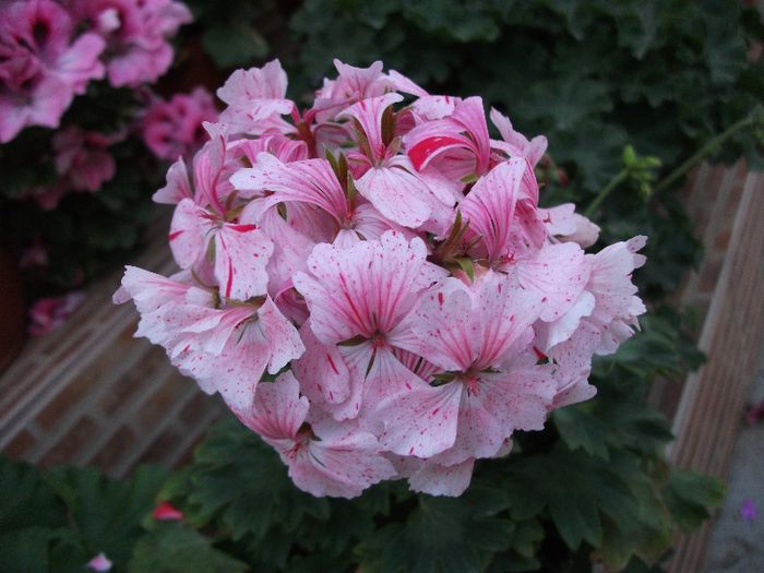 048