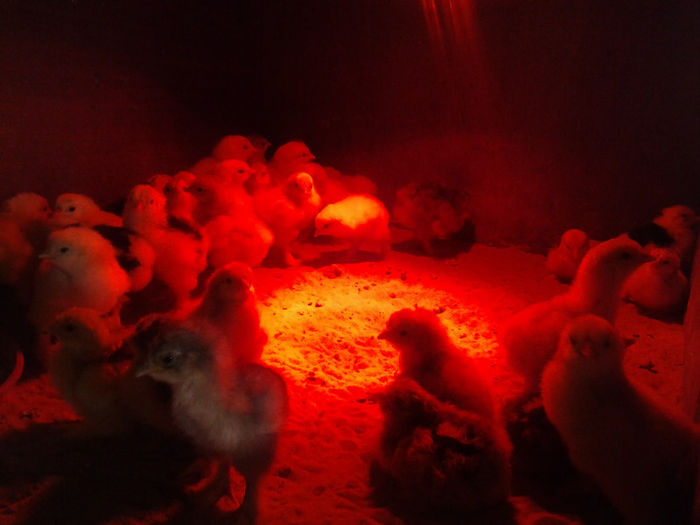 2013-05-25 14.41.49; seria 5
