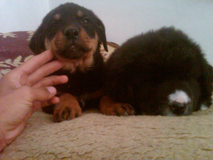 IMG00557-20130527-1458