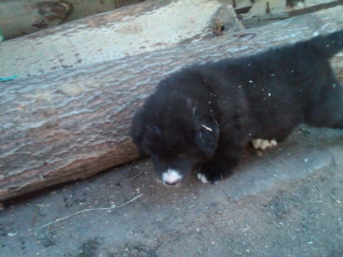 IMG00536-20130521-1357