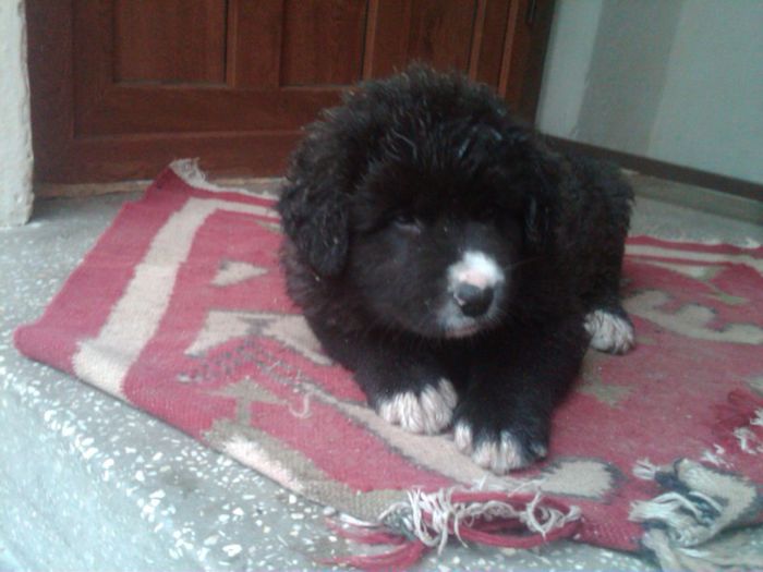 IMG00565-20130527-1716