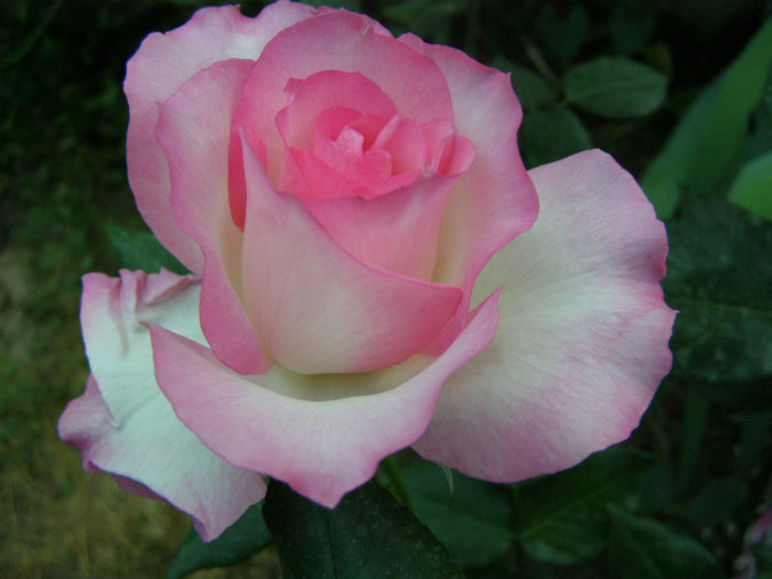 P1018150