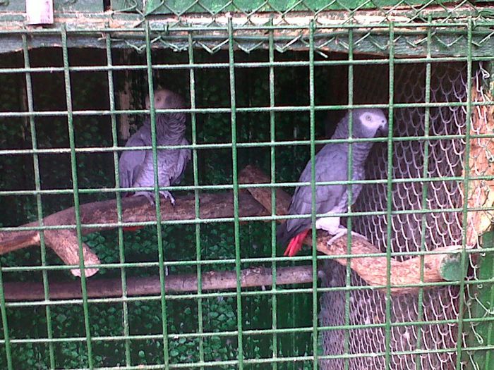 IMG00803-20130531-1449