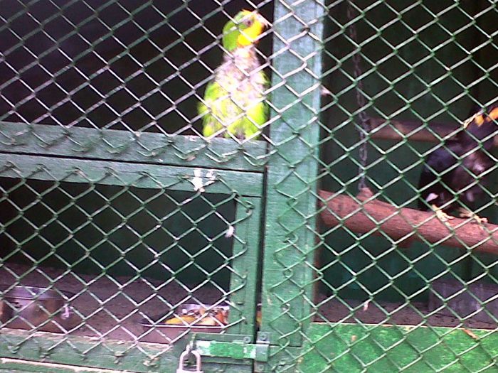 IMG00805-20130531-1450