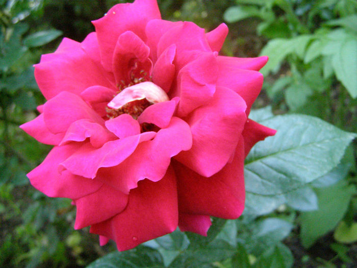 P1018172