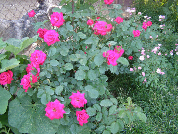 P1018174