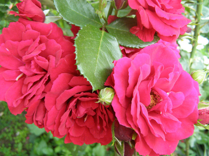 P1018257