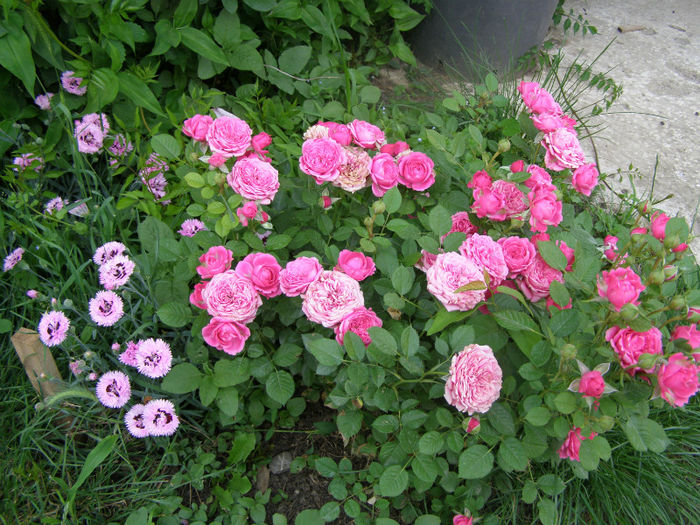 P1018262