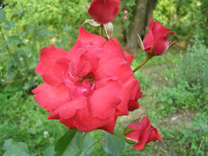 P1018270