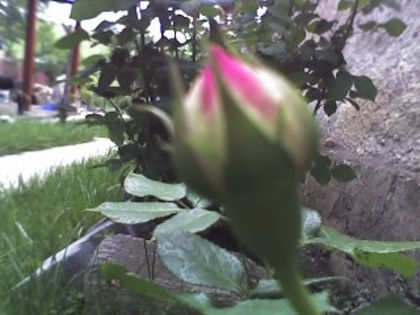 31-05-13_1249