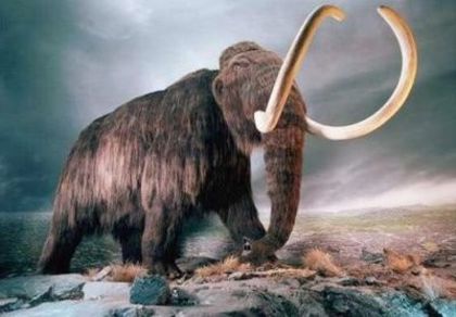 imagen mamut lanudo - x55-Mamut