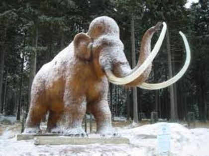 images - x55-Mamut