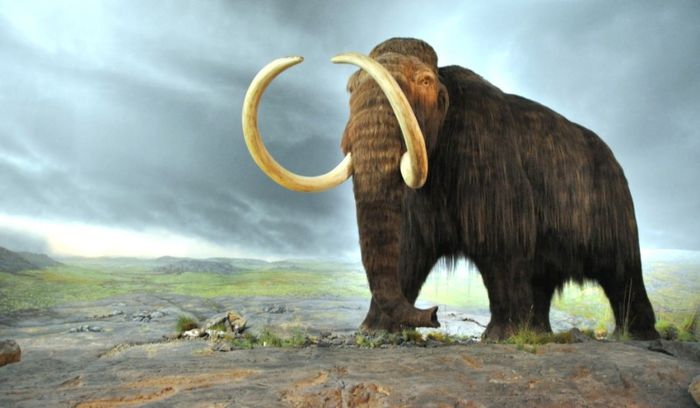 mamut-lanos