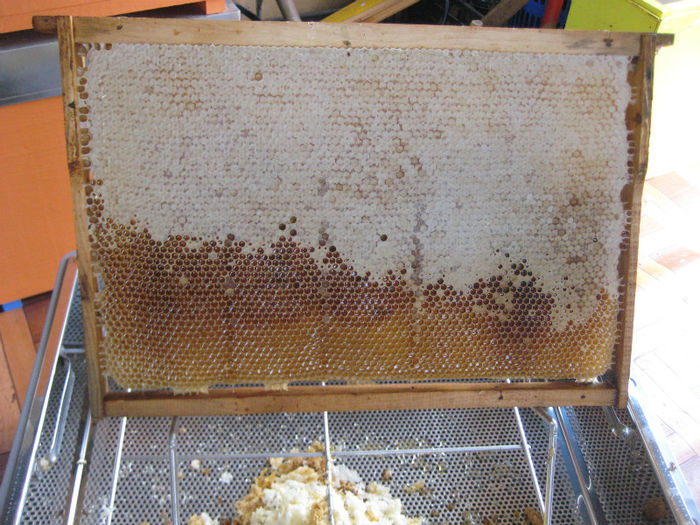 IMG_0072 - Rapita 2013