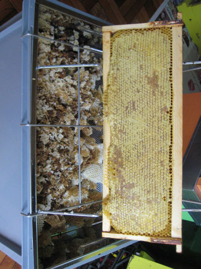 IMG_0077 - Rapita 2013