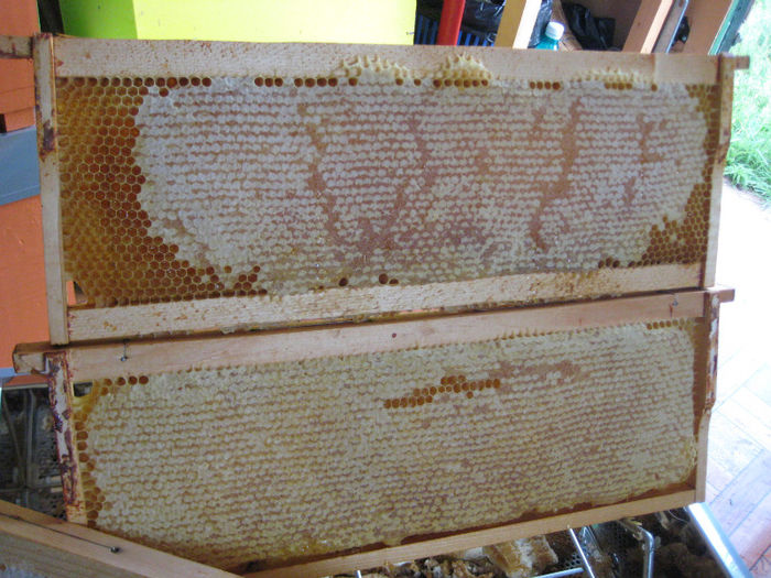 IMG_0080 - Rapita 2013