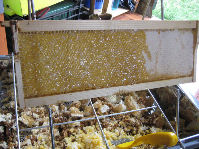 IMG_0081 - Rapita 2013