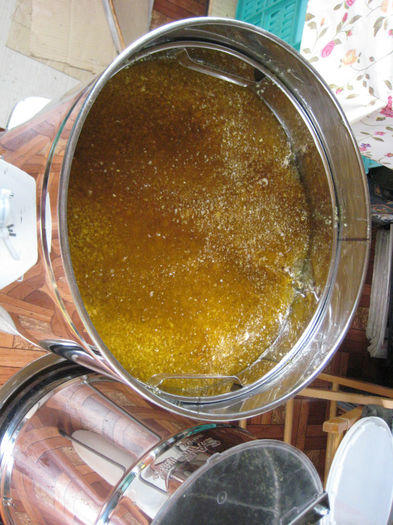 IMG_0084 - Rapita 2013