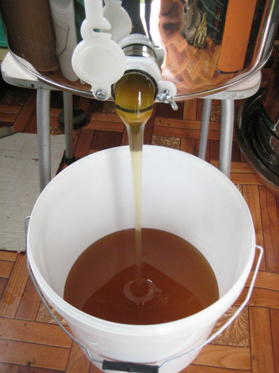 IMG_0086 - Rapita 2013