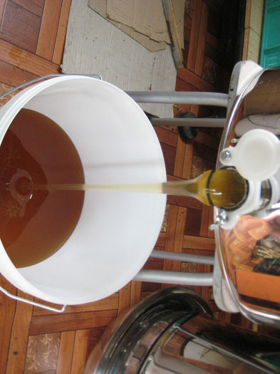 IMG_0087 - Rapita 2013