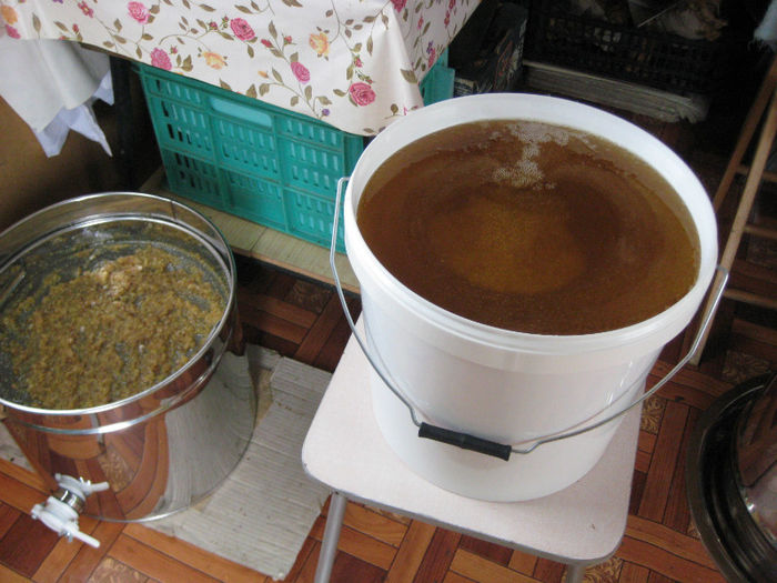 IMG_0088 - Rapita 2013